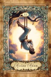 card-5