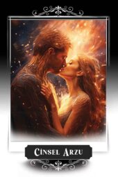card-11