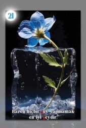 card-36